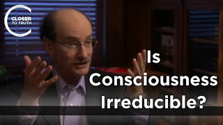 Dean Radin  Is Consciousness Irreducible?