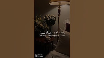 #تلاوة_خاشعة #اكسبلور #المصحف #راحة_نفسية #قرآن #quran