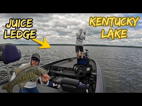 Ledge Fishing For Big Smallmouth On Kentucky Lake August 2026