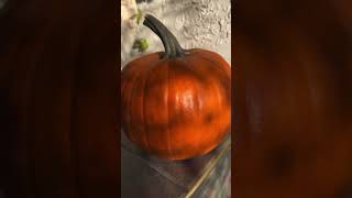 Easy pumpkin carving ideas 🎃 #halloween #pumpkincarving #pumpkin #happyhalloween