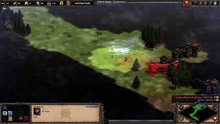 Age of Empires II  Definitive Edition  wall bug