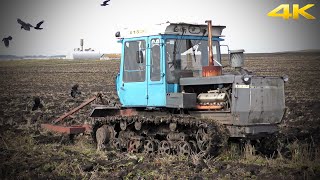 Гусеничный трактор ХТЗ-181 пашет модернизированным плугом от трактора Т-150