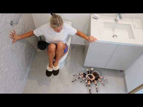 TERRIFYING REAL TARANTULA PRANK ON GIRLFRIEND!!!