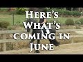 HERE&#39;S WHAT&#39;S COMING UP IN JUNE! - Wednesday Wrap Up Episode 32