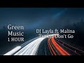 Don't Go - DJ Layla ft. Malina Tanase - (Suprafive Remix) 1HOUR