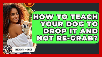 How To Teach Your Dog To Drop It And Not Re-grab? - Obedient Dog Guide
