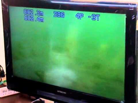 水中ライブ①