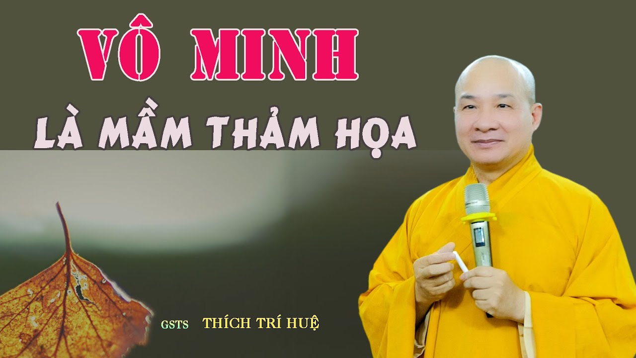 Nguyên Nhân Của Tất Cả Khổ Đau Là Đây – cực hay. Thầy Thích Trí Huệ Nguyên Nhân Của Tất Cả Khổ Đau Là Đây – cực hay. Thầy Thích Trí Huệ