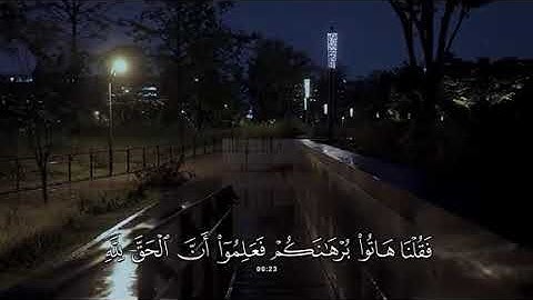 جزء 18 | تلاوة هادئة آيات من سورة القصص بصوت جدًا جميل - محمد بوحسون ✨ .