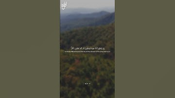 Surah Al-Mujadila | Ayah 14-19 | سورة المجادلة
