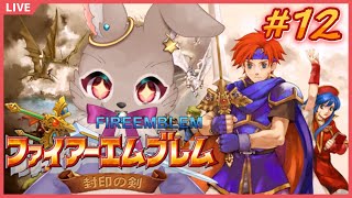 【#ファイアーエムブレム封印の剣 #12】全ての元凶を今！ここで断つ！！
