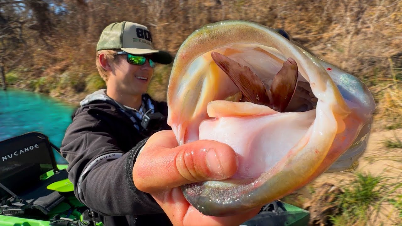 Swimbait Fishing Pristine River for Gizzard Gobbling Bass