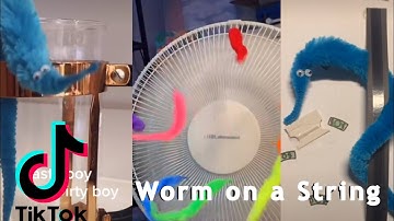 Worm On a String (Magic Worms) TikTok Compilation