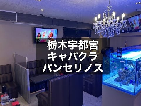 栃木宇都宮　パンセリノス　（Club Panselinos）　キャバクラ　店内紹介