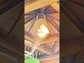 Removing A Giant Wasp Nest With Fire إزالة عش دبابير ضخم بالنار 