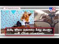 Owner books entire Air India business class cabin for pet dog