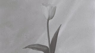 ความหมาย (意味) | PRELUDE Visualizer