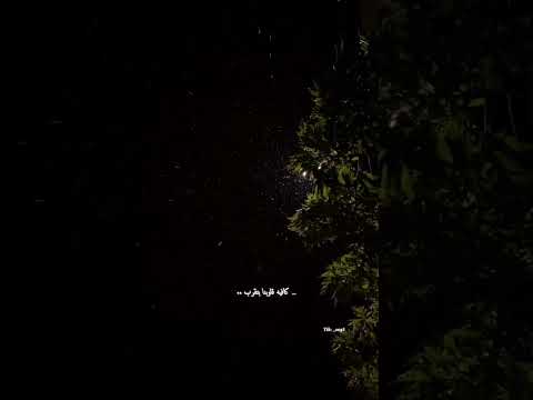 اميمه طالب وايه يعني ما بينا بلاد اغاني بدون موسيقى