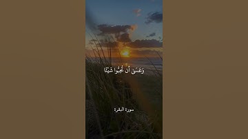 وَعَسَىٰ أَن تَكْرَهُوا شَيْئًا وَهُوَ خَيْرٌ || سورة البقرة || علي جابر