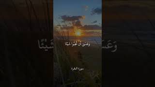 وَعَسَىٰ أَن تَكْرَهُوا شَيْئًا وَهُوَ خَيْرٌ || سورة البقرة || علي جابر