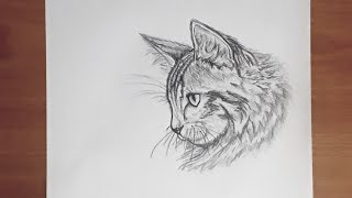 Adım Adım Kedi Çizimi Sanat Videosu