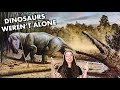 Mesozoic Era Land Life Quiz