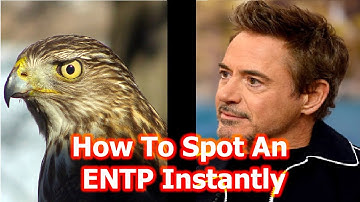 How To Spot An ENTP Instantly