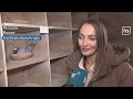 Das ist die Lösung für das Tauben-Problem in Städten?