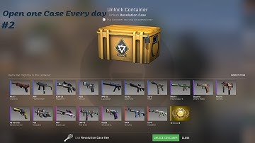 Open a Case Everyday until my first Gloves!! #2 Case Opening