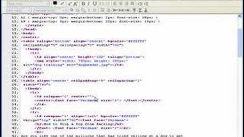 How To Use Adsense With NVU