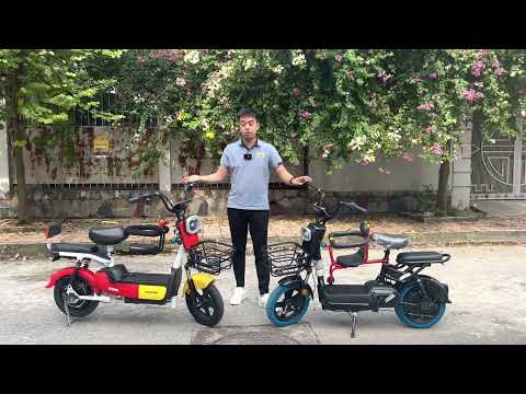 Video giới thiêu xe đạp điện quốc dân tặng kèm ghế trẻ em... - youtube