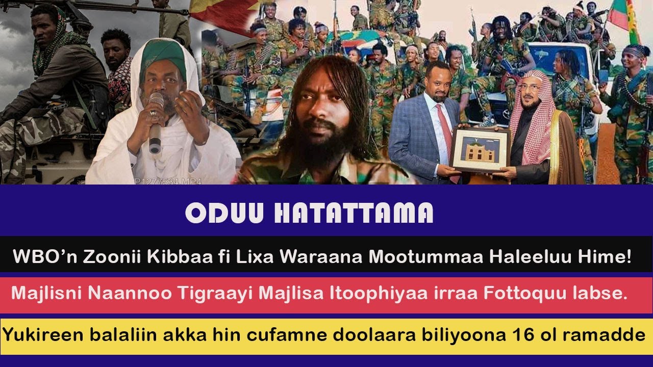 Oduu Haaraa Injifannoo Wbo Zoonii Kibbaa Fi Lixaa February 15 2022