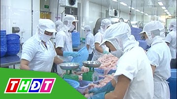 Xuất khẩu cá tra có thể đạt tới 2,5 tỷ USD | THDT