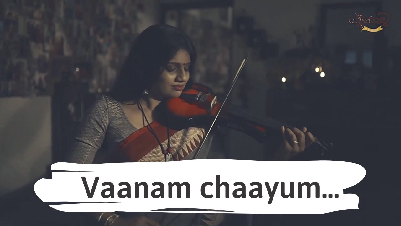 Vaanam Chaayum  Violin Cover  Anarkali  harishankar  instrumental