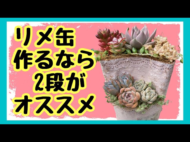 【多肉植物】2段リメ缶に寄せ植え第二弾 - YouTube