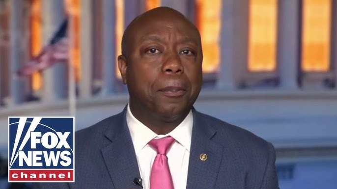 Tim Scott Trump Won All Three Demographics Of Voters