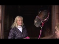 Mr Visto's Floppy Lip - the amazingly talented and adorable stallion
