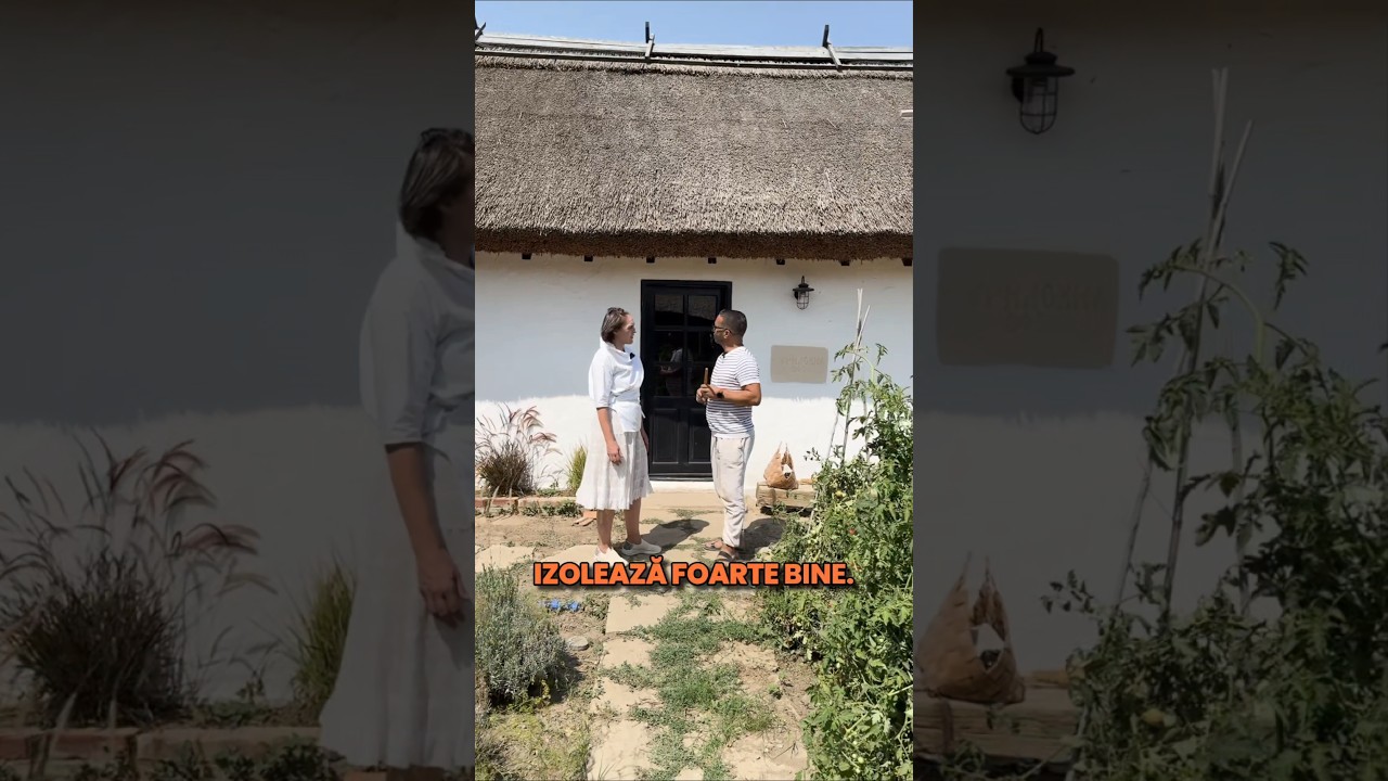 Acoperișul de stuf: preț și avantaje