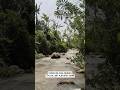 #Ny dijual tnh sawah&kebun #lt 1ha akses jln mobil #hrg 800jt nego #wa 0858 8227 0896