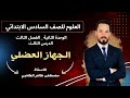العلوم للصف السادس الابتدائي موضوع الجهاز العضلي الاستاذ مصطفى الكعبي 