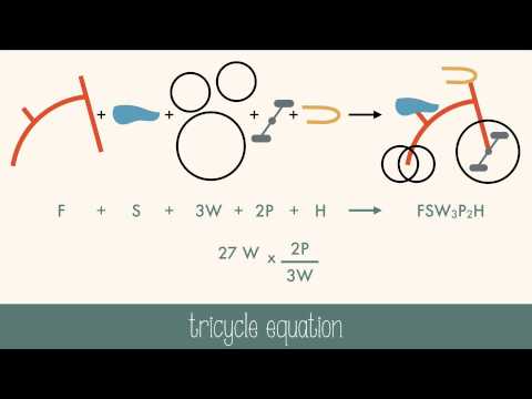 Arithmetic of Equations Instructional Video Arithmetic of Equations Instructional Video