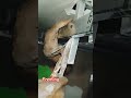 gypsum falsiling freming #gypsum freming #shortvideo #shorts