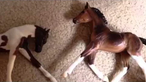 To much Love (Breyer mini movie)