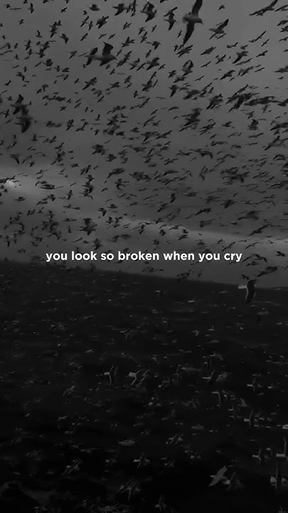 You Look So Broken When You Cry Lyrics heat waves - glass animals | you look so broken when you cry | lyrics