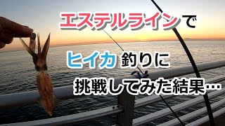 エステルラインでヒイカ釣りに挑戦してみた結果…【2021年12月21日】