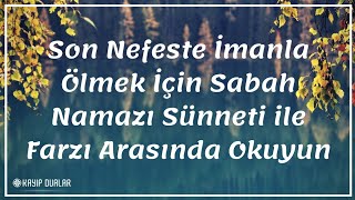 Son Nefeste İmanla Ölmek İçin Sabah Namazı Sünneti Ile Farzı Arasında Okuyun