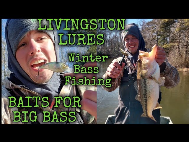 Livingston Lures Deep Diving Crank Baits Review! 