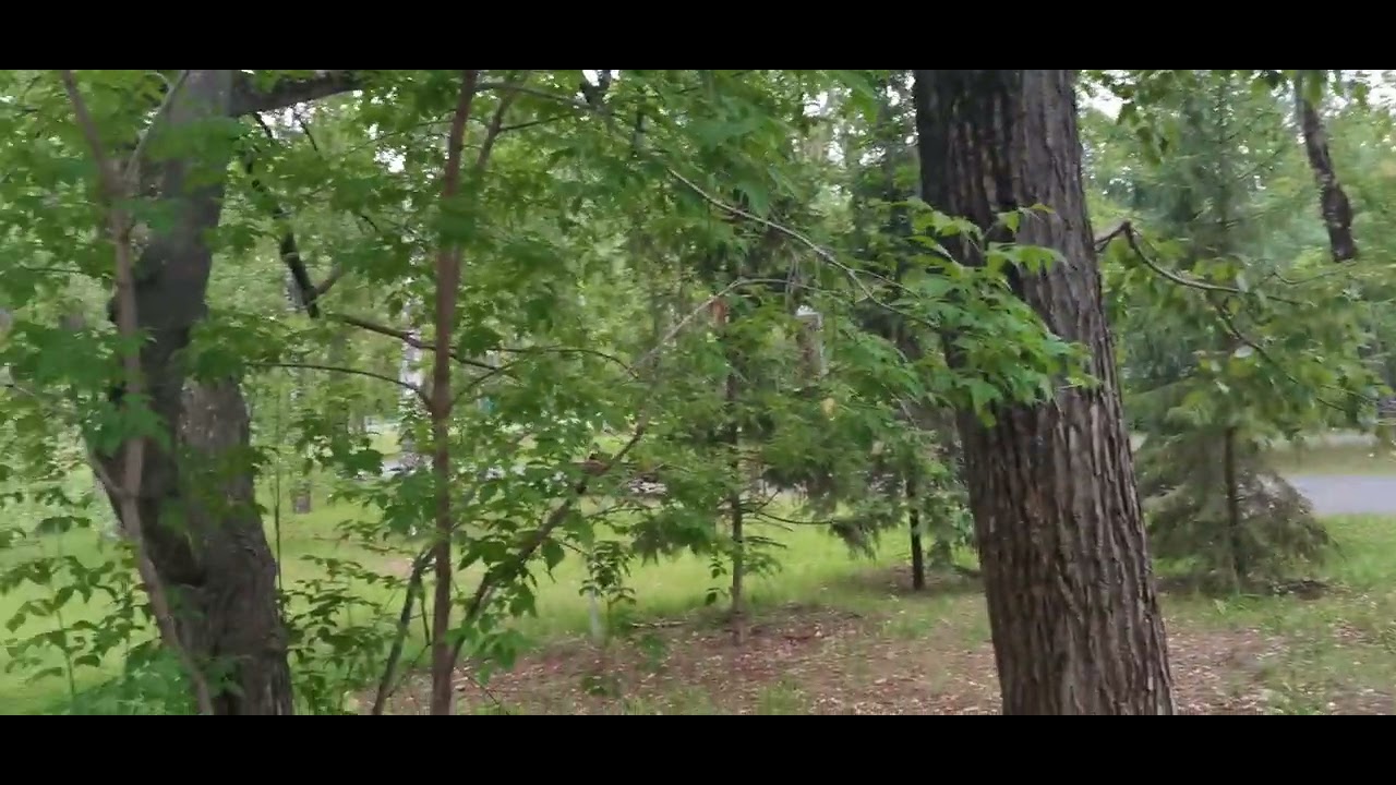 Критика. К@+€€¶+@