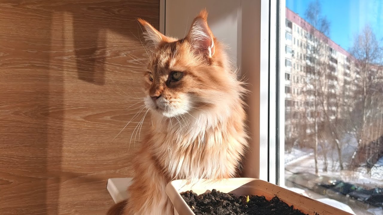 Мой первый влог!!) 🫶🏻🫰🏻💕/ВЛОГ/ Косметика/GRWM/💄 🍭