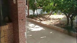 UTOPIA REAL ESTATE   ID903811